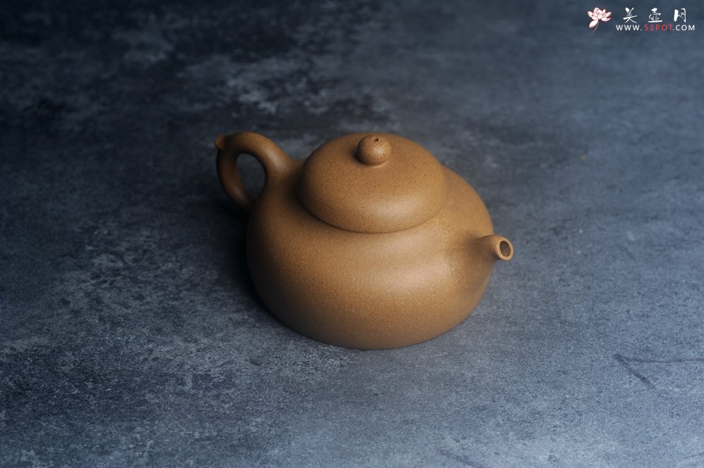 紫砂壶图片：美壶特惠 特好黄金段泥小美壶 - 美壶网