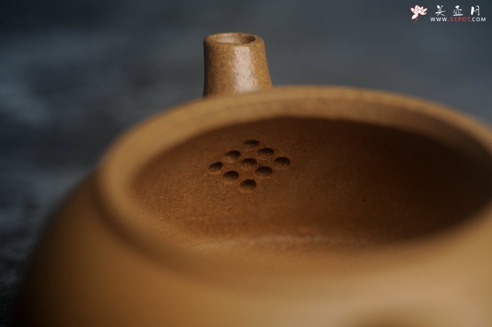 紫砂壶图片：美壶特惠 特好五彩段泥小美壶 装饰文雅 海纳百川 - 美壶网