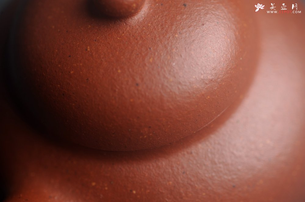 紫砂壶图片：美壶特惠 特好降坡泥小美壶 茶人醉爱 - 美壶网