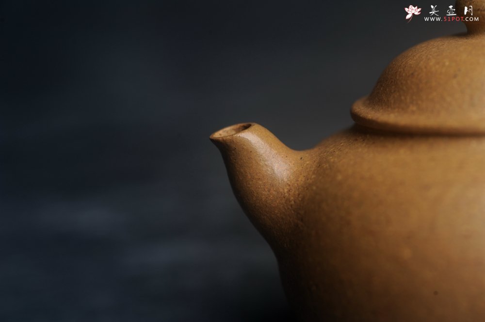 紫砂壶图片：美壶特惠 特好段泥容天壶 - 美壶网