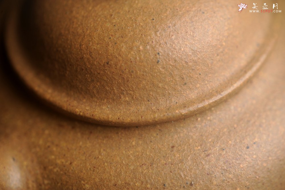 紫砂壶图片：美壶特惠 特好段泥容天壶 - 美壶网