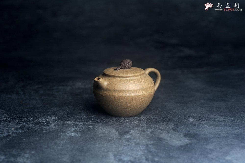 紫砂壶图片：美壶特惠 特好段泥精致松果壶 茶人醉爱 - 美壶网