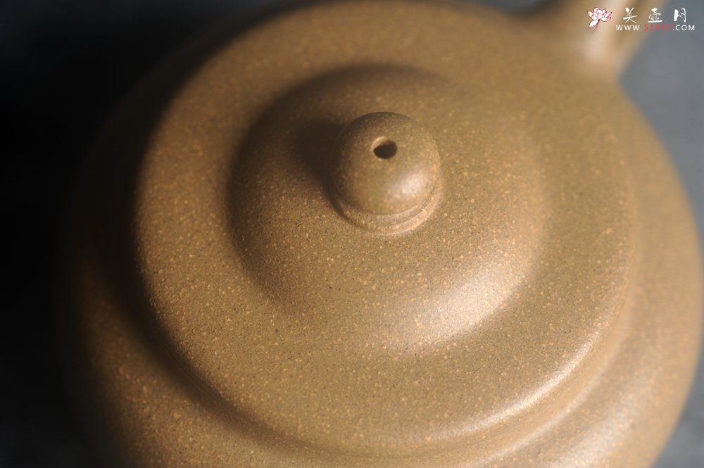 紫砂壶图片：美壶特惠 特好本山段泥涌泉壶 茶人醉爱 - 美壶网