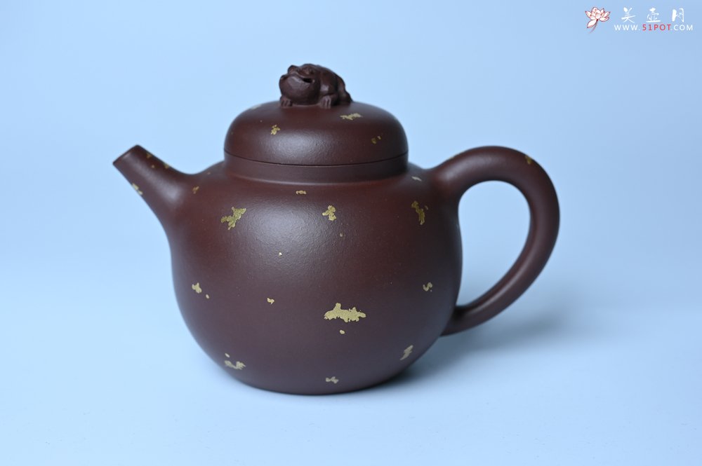 紫砂壶图片：潜力股周小培 全手工原创招财壶200cc 金蟾屹立于壶盖 撒金工艺铺满壶身 寓意黄金落满地 招财进宝 - 美壶网