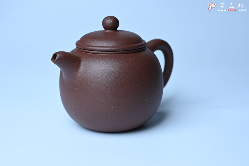 紫砂壶图片：毛国强入室弟子黄云初 特好老紫泥匏尊壶 名家何水法书法“坐忘” 刘世涛伯陶刻 - 美壶网