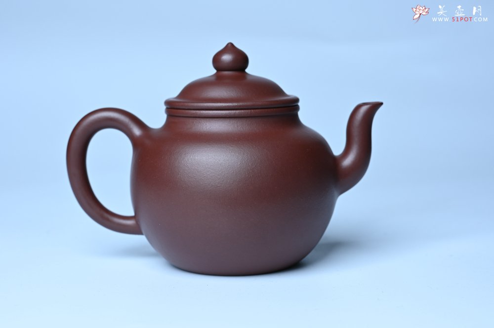 紫砂壶图片：油润黄龙山4号深井红皮龙 全手工高宫灯壶 东西灰常赞 - 美壶网