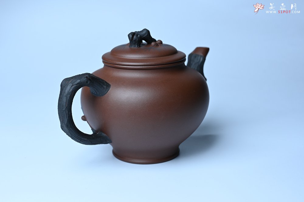 紫砂壶图片：美壶特惠 精致报春系列之松报春壶 - 美壶网