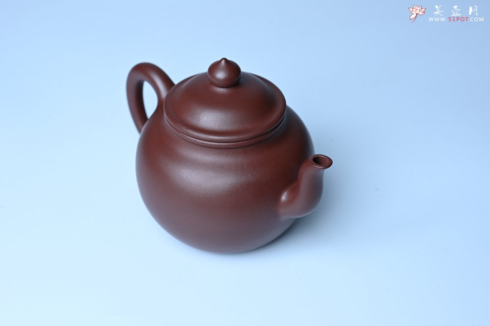 紫砂壶图片：油润黄龙山4号深井红皮龙 全手工高宫灯壶 东西灰常赞 - 美壶网