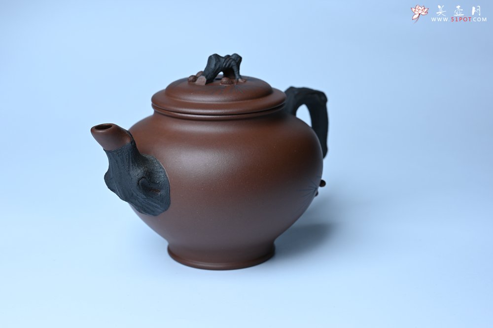 紫砂壶图片：美壶特惠 精致报春系列之松报春壶 - 美壶网