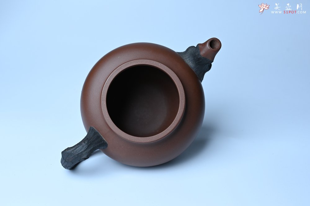 紫砂壶图片：美壶特惠 精致报春系列之松报春壶 - 美壶网