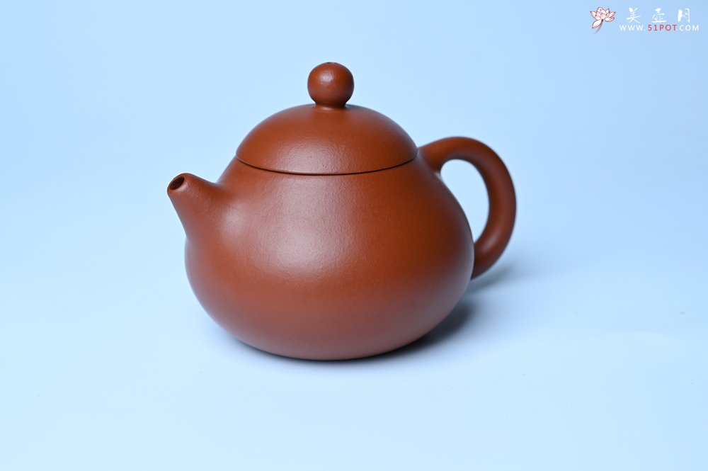 紫砂壶图片：美壶特惠定制最新实用力作 优质精致朱泥文旦壶 养后特润 - 美壶网