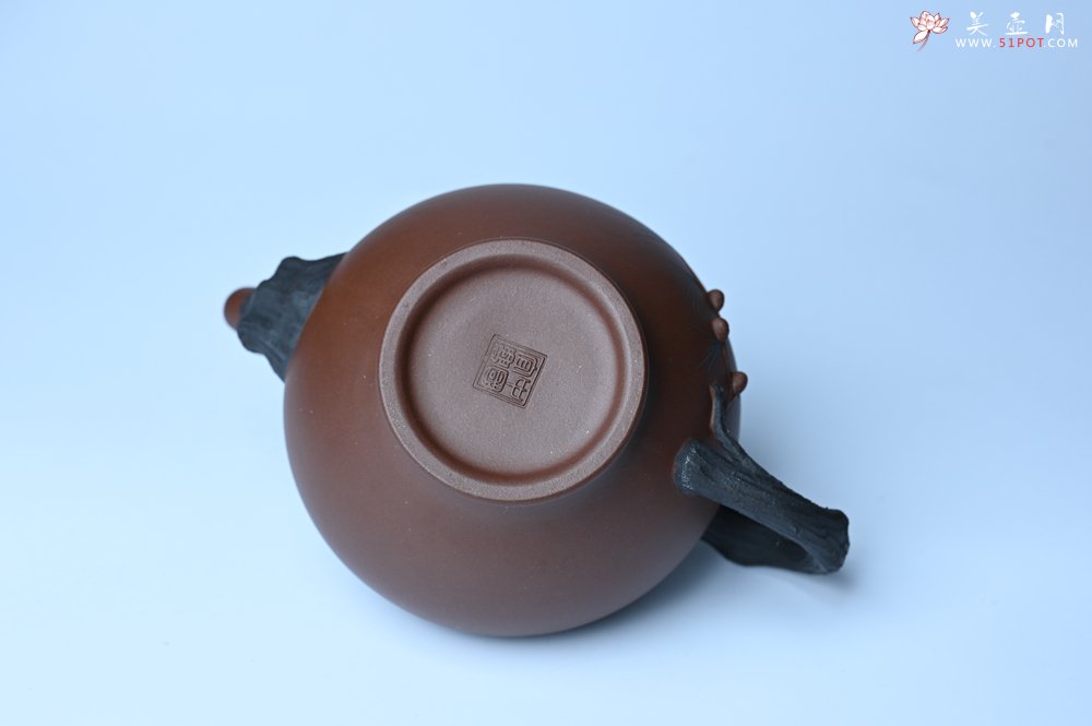 紫砂壶图片：美壶特惠 精致报春系列之松报春壶 - 美壶网