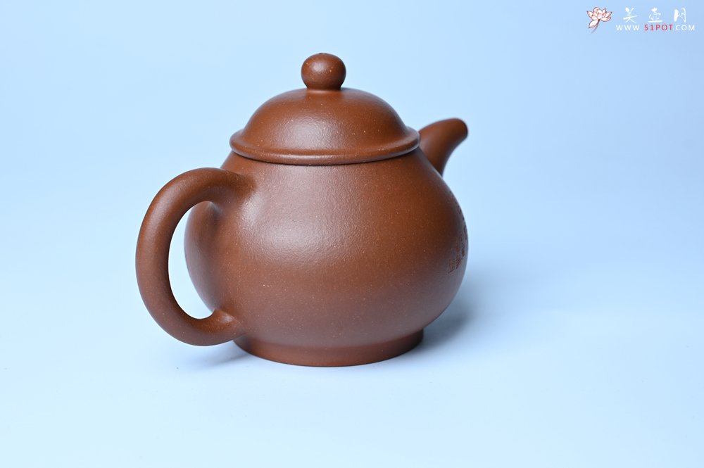 紫砂壶图片：美壶特惠 王老师 全手工红降坡泥潘壶 国助工 易轩 范小君徒杨志超老师刻绘 装饰小富贵特文气 - 美壶网
