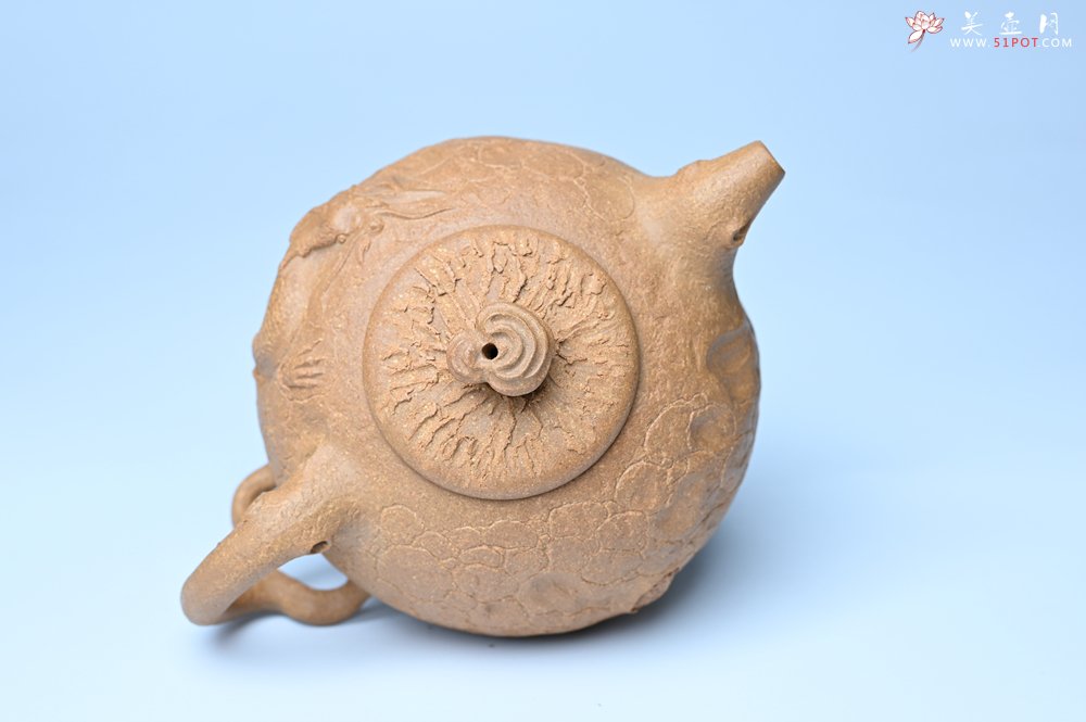 紫砂壶图片：潜力股赵老师实力演绎全手工老黄段泥灵芝游龙供春壶 游龙传福 不失为一把好壶 - 美壶网