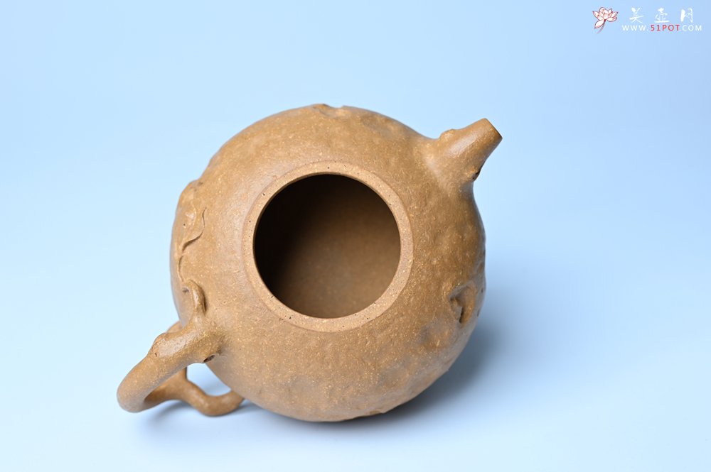 紫砂壶图片：潜力股赵老师实力演绎全手工老黄段泥金蟾供春壶 金蟾灵动 不失为一把好壶 - 美壶网