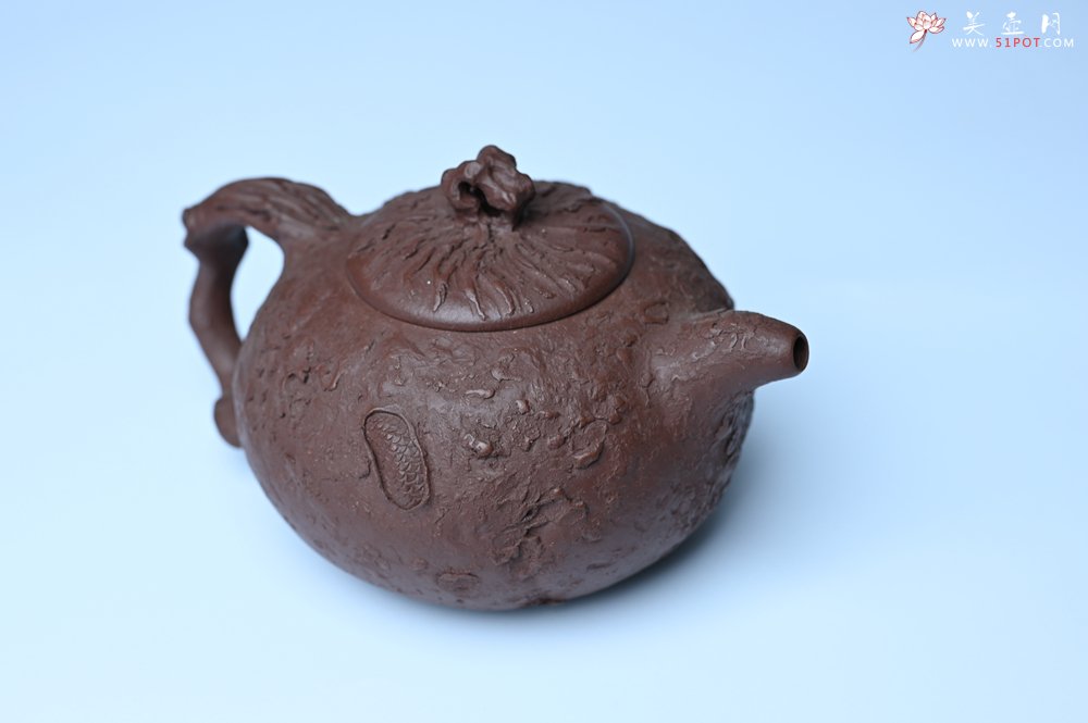 紫砂壶图片：潜力股赵老师实力演绎全手工龙供春壶 肌理细腻逼真 - 美壶网