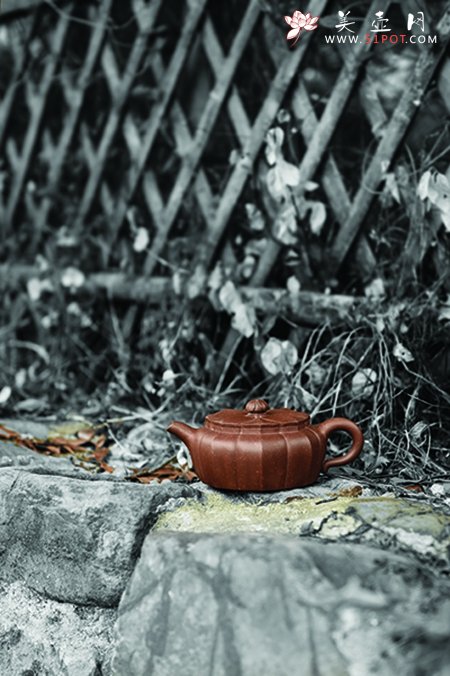 紫砂壶图片：葵八方 - 美壶网