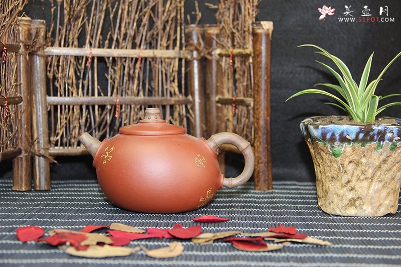 紫砂壶图片：海涵 - 美壶网