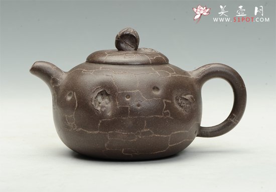 紫砂壶图片：树化石 - 美壶网