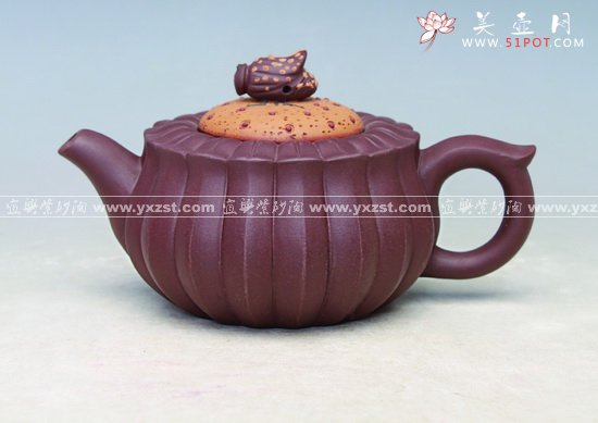 紫砂壶图片：蜂菊 - 美壶网