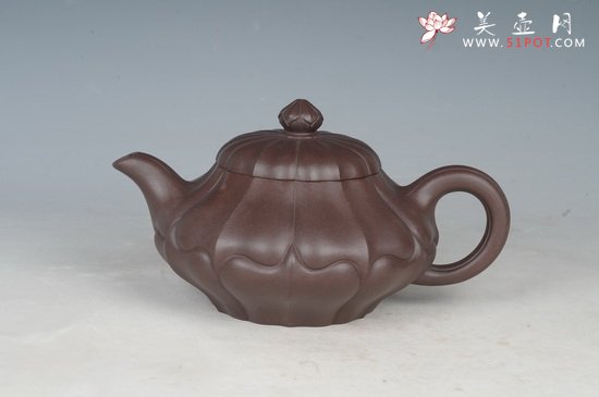 紫砂壶图片：DSC_8795 - 美壶网