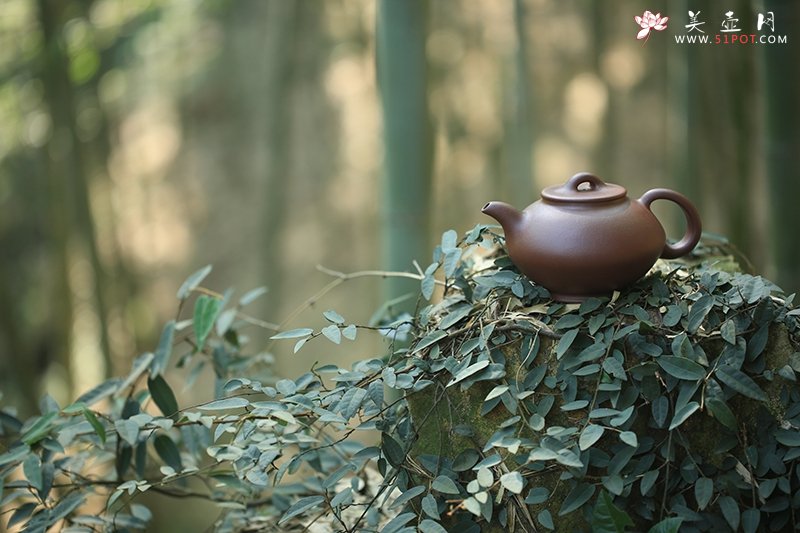 紫砂壶图片：悟道 - 美壶网