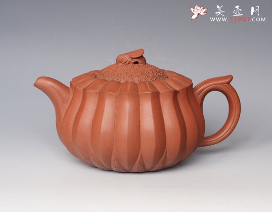 紫砂壶图片：蜂菊 - 美壶网