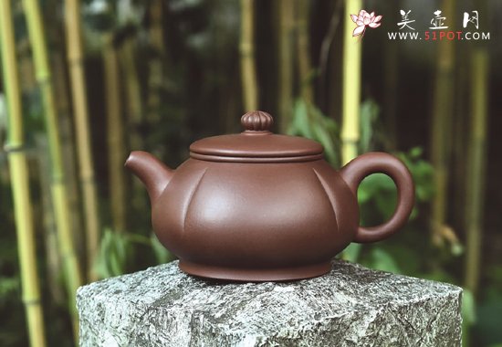 紫砂壶图片：菊蕾 - 美壶网