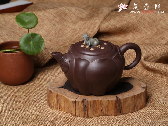 紫砂壶图片：青蛙莲子 - 美壶网
