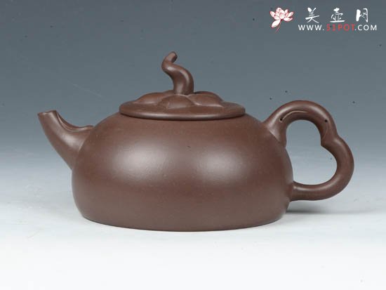 紫砂壶图片：生机盎然  300cc - 美壶网