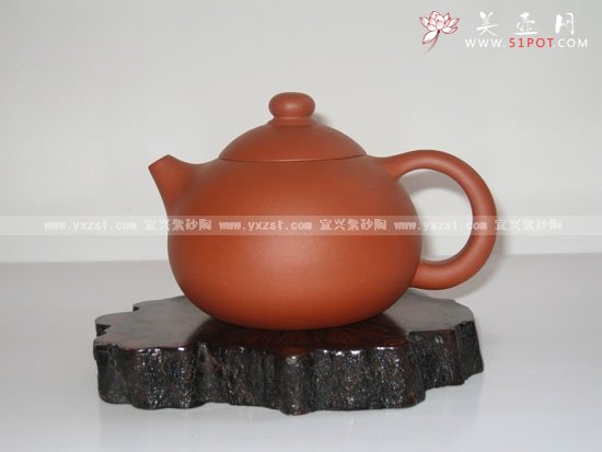 紫砂壶图片：西施 - 美壶网