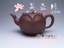 紫砂壶图片：荷莲 - 美壶网