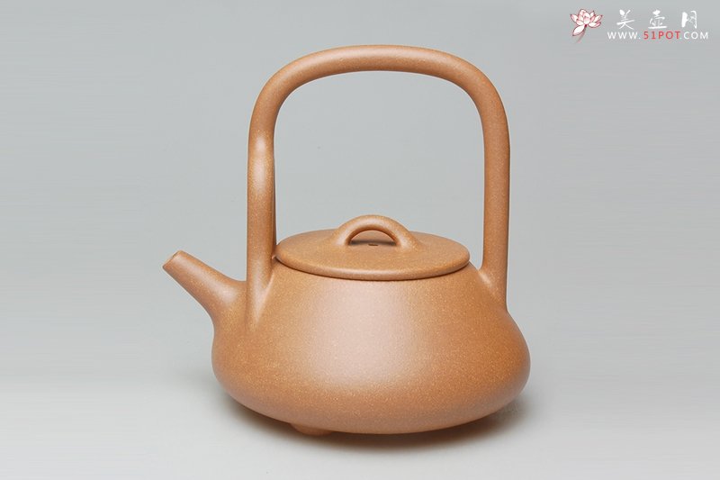 紫砂壶图片：石瓢提梁壶 - 美壶网