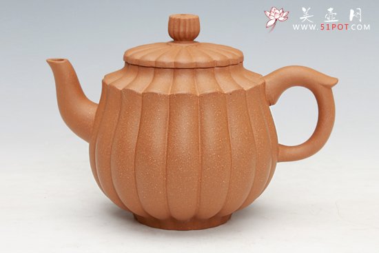 紫砂壶图片：高菊锦囊 - 美壶网