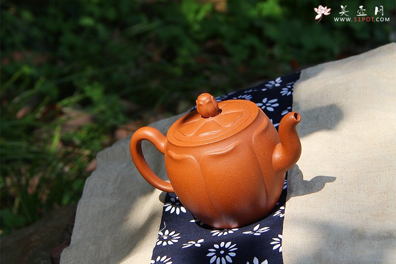 紫砂壶图片：花蕾 - 美壶网
