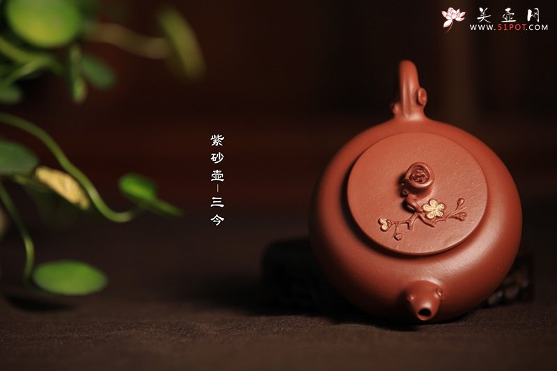 紫砂壶图片：踏雪寻梅 - 美壶网