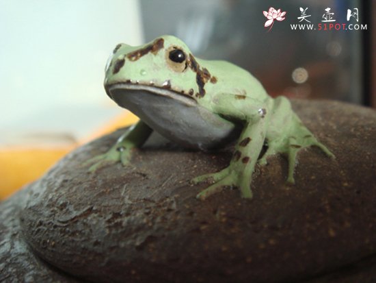 紫砂壶图片：树蛙供春盖子 - 美壶网