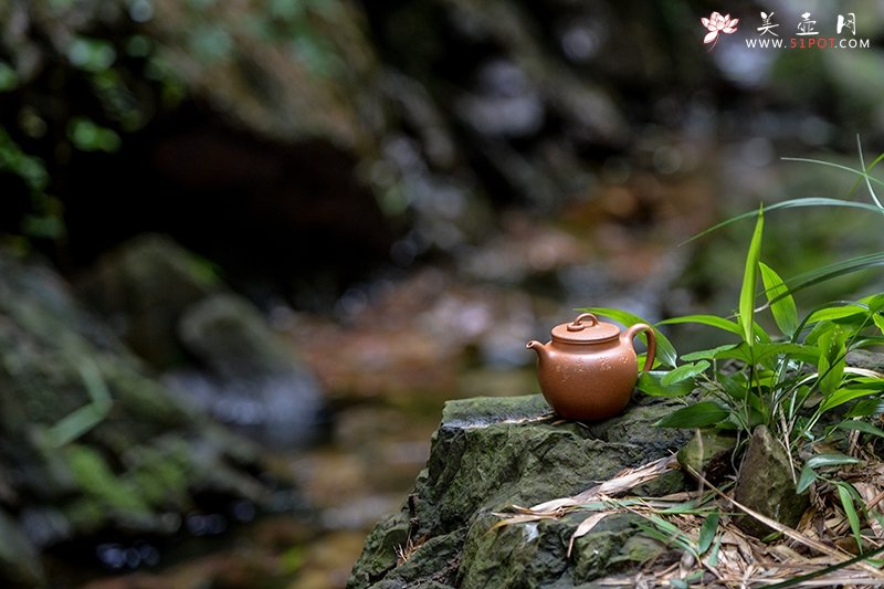 紫砂壶图片：华风器度 - 美壶网