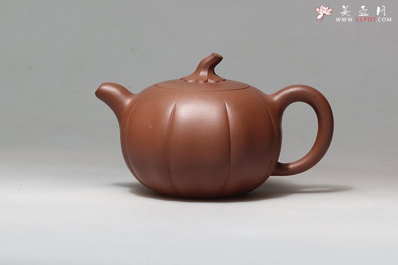 紫砂壶图片：金瓜 - 美壶网