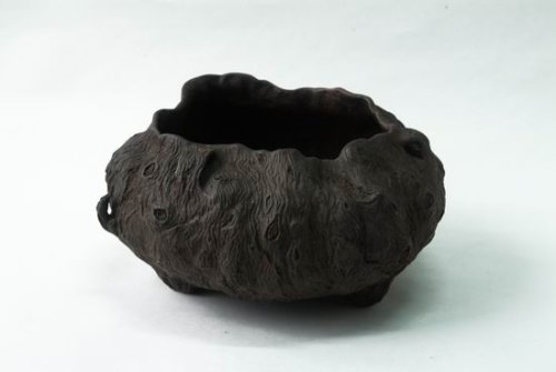 俞荣骏紫砂壶 树瘿系列 