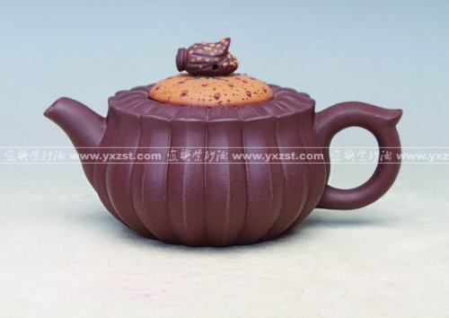 陈顺仙紫砂壶 蜂菊 