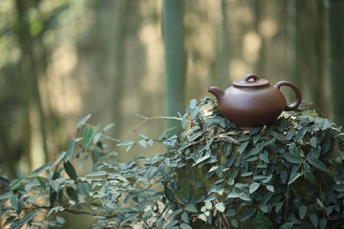 冯群星紫砂壶 悟道 