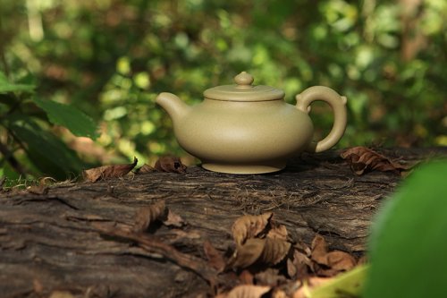 高俊紫砂壶 飞翼1 