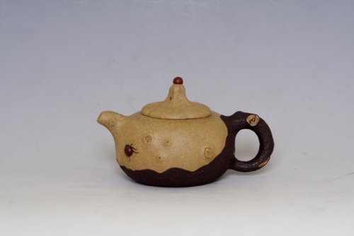 鲍国新紫砂壶 双色树瘿 