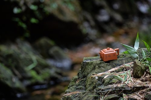 储凌云紫砂壶 志在四方 