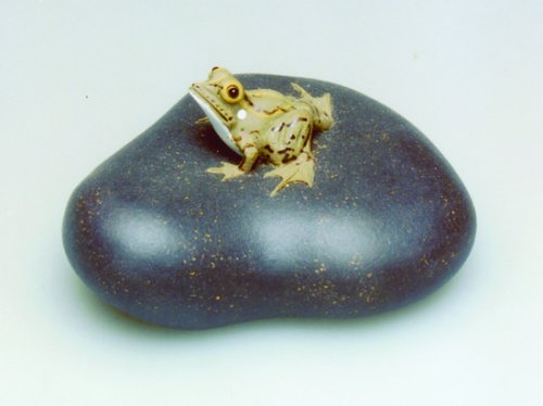 陈晓云紫砂壶 1 