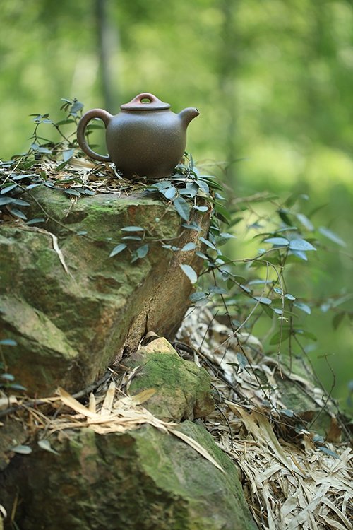 冯群星紫砂壶 宫灯 