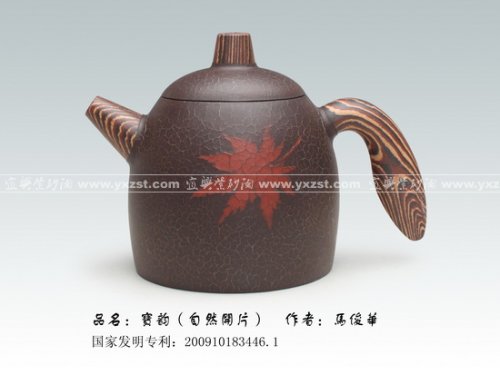 马俊华紫砂壶 宝韵 拷贝 