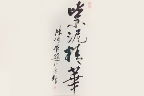 朱建伟紫砂壶 美紫砂壶 