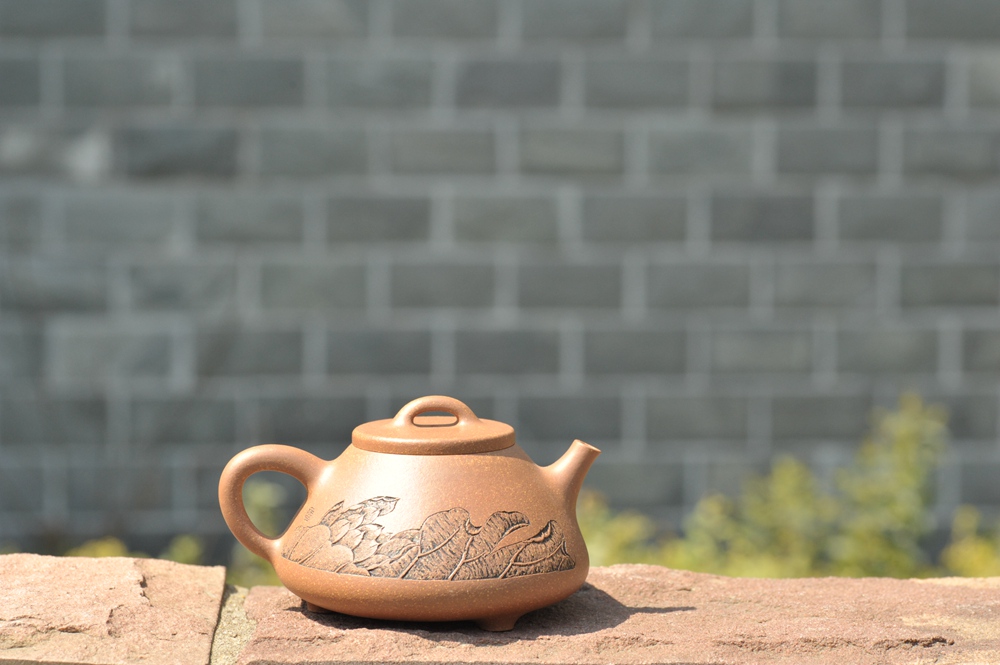 春游季品茶赏壶